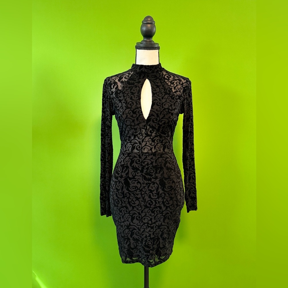 Windsor beautiful fitted dress
